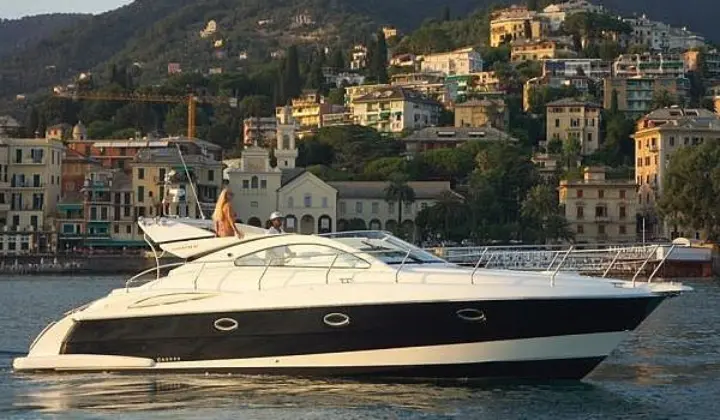 Moa Platinum 40 - 