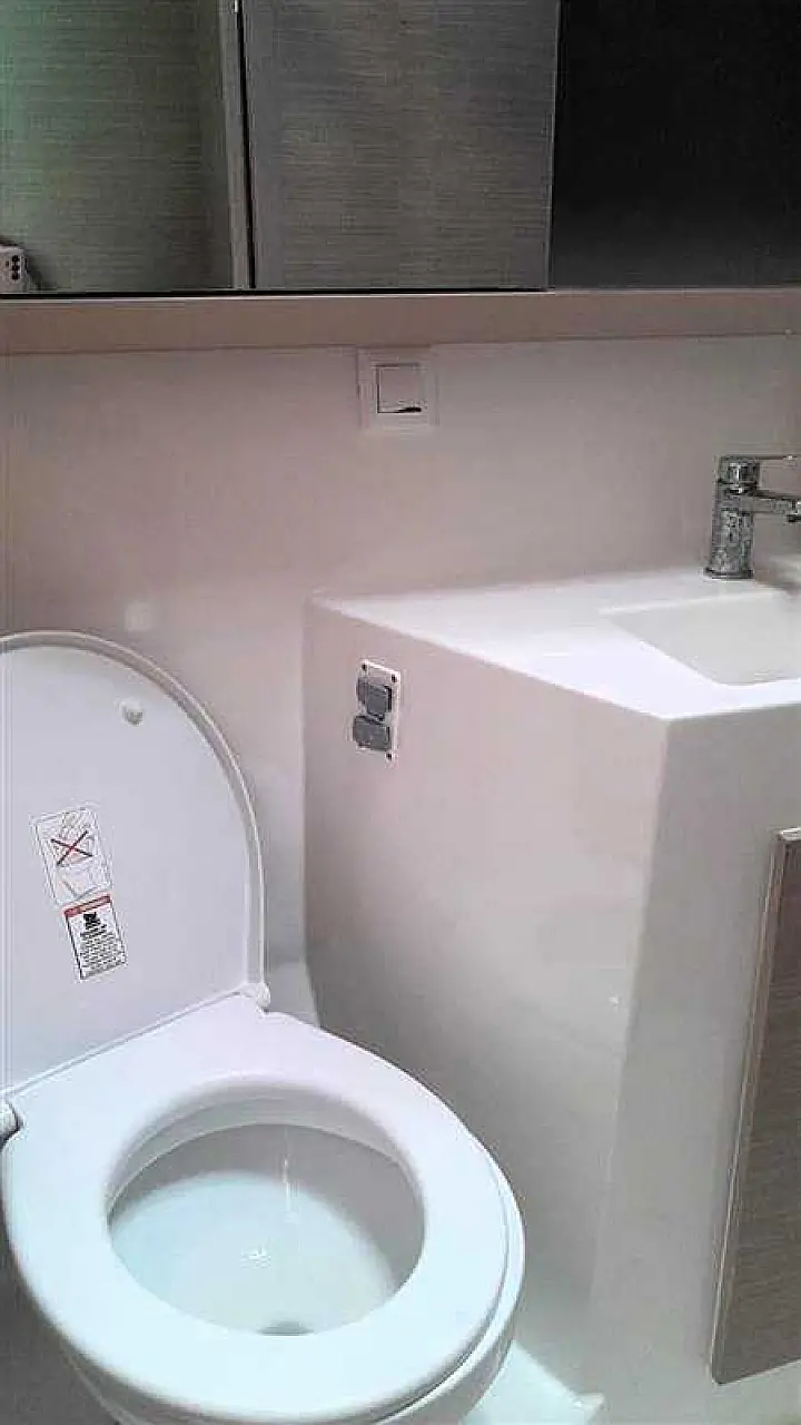 Lagoon 42 - Toilet