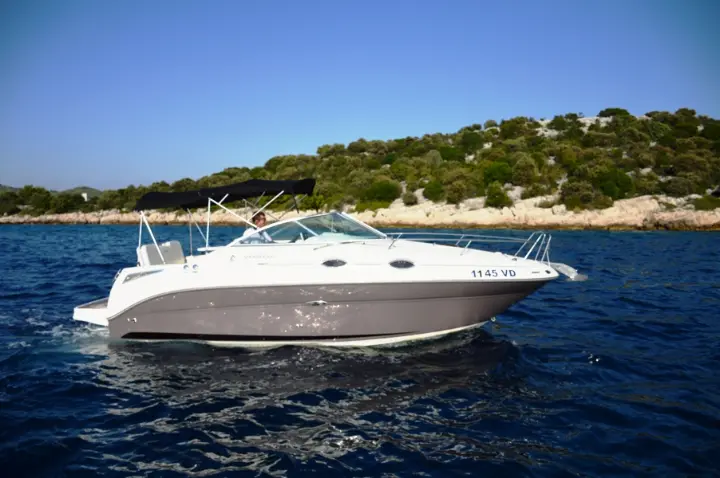 Sea Ray 255 Sundancer - 