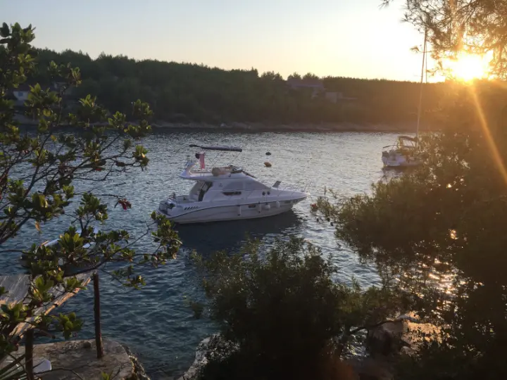 Sealine F33 Fly - 