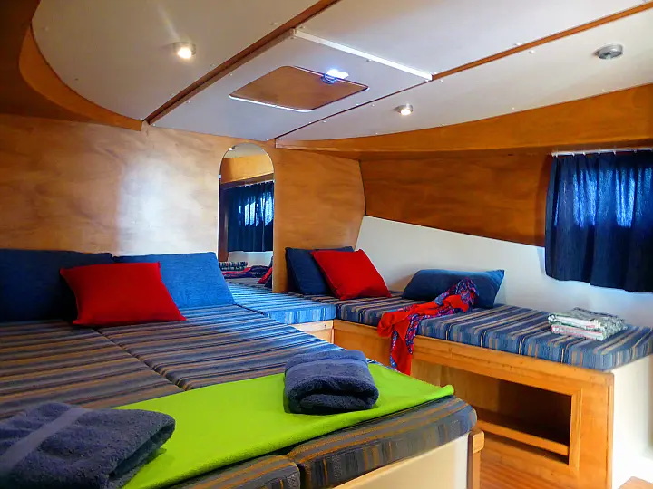 NCF Suite - 