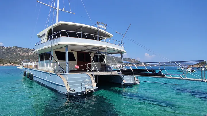 Motor Sailor Catamaran - 