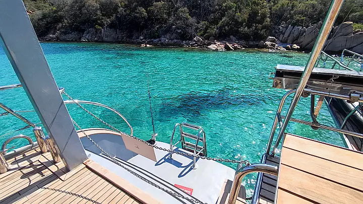 Motor Sailor Catamaran - 