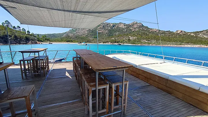 Motor Sailor Catamaran - 