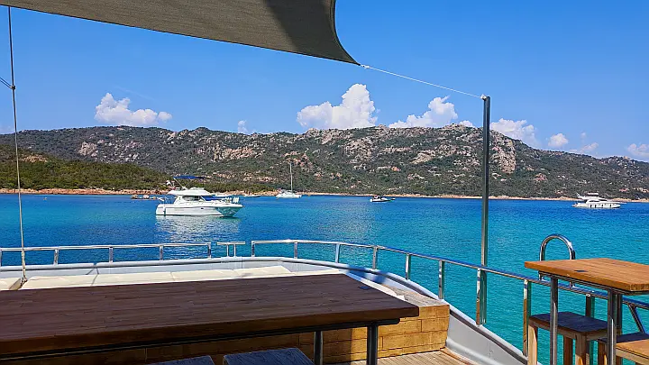 Motor Sailor Catamaran - 