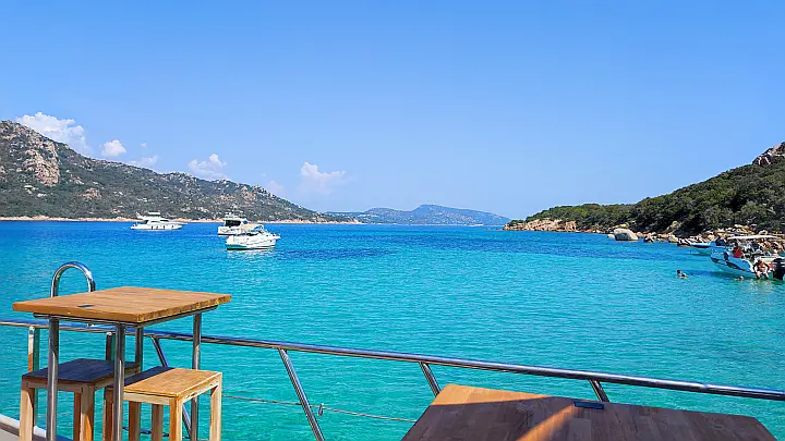 Motor Sailor Catamaran - 