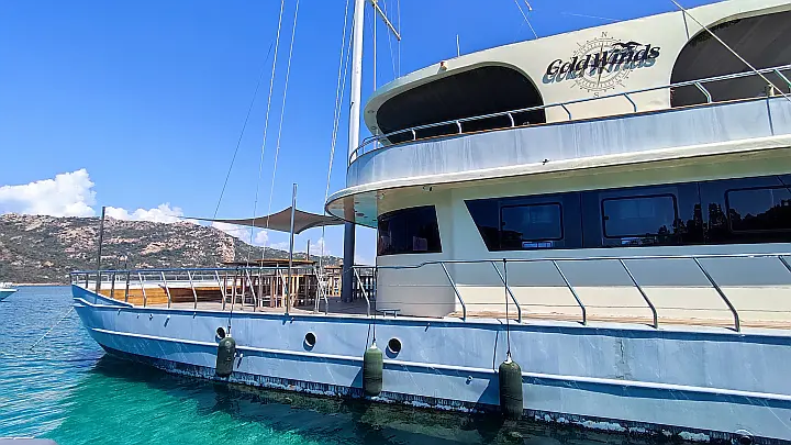 Motor Sailor Catamaran - 