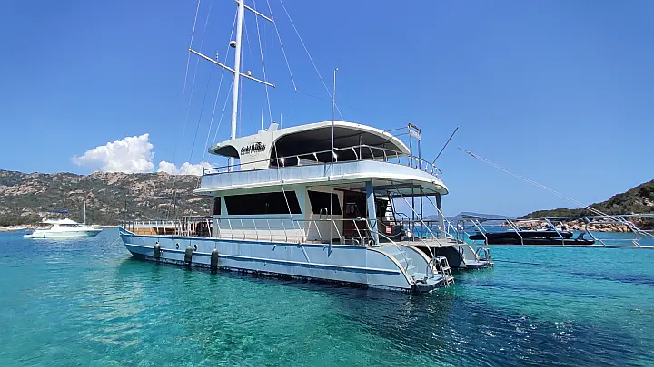 Motor Sailor Catamaran - 