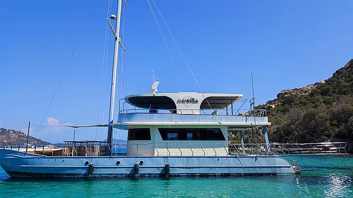 Motor Sailor Catamaran - 